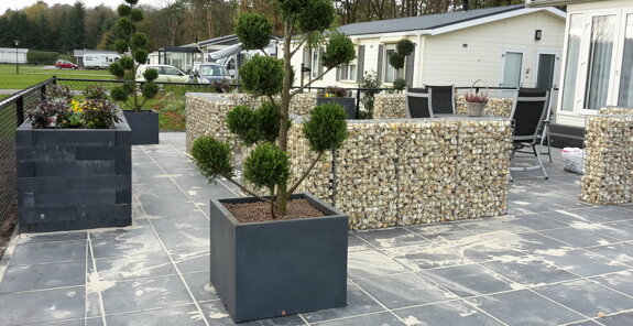 Yellow sun toegep 1.jpg